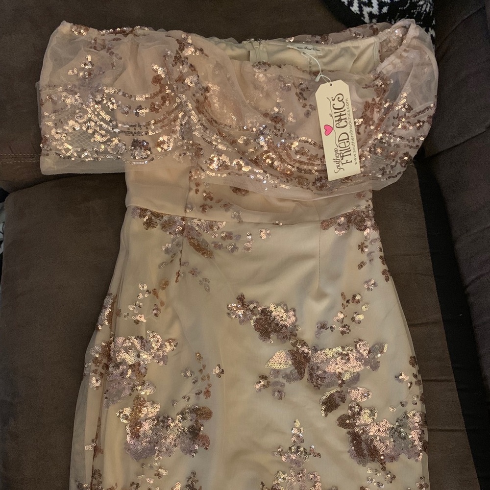 Brand new Southern fried chicken dress